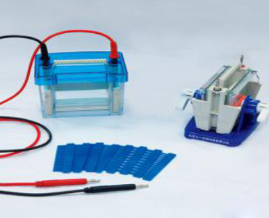 迷你雙垂直電泳槽